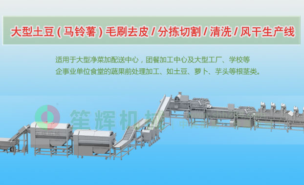 雨花连续式土豆去皮清洗切割风干生产线